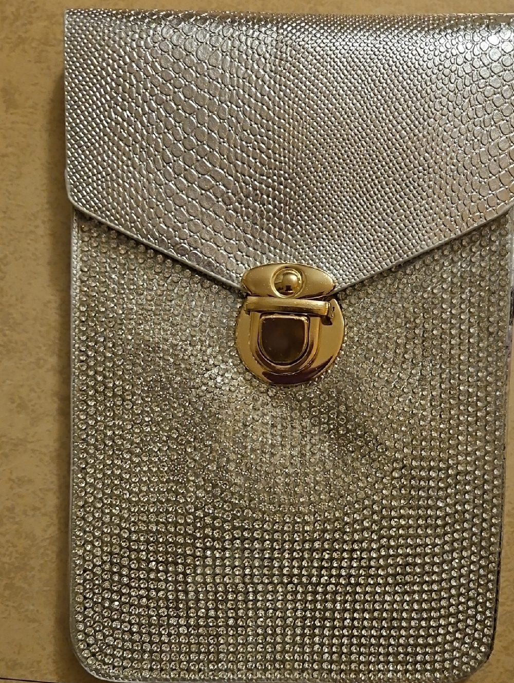 Sophia & Lee Silver Rhinestone Crossbody Clutch with Gold Tone Lock